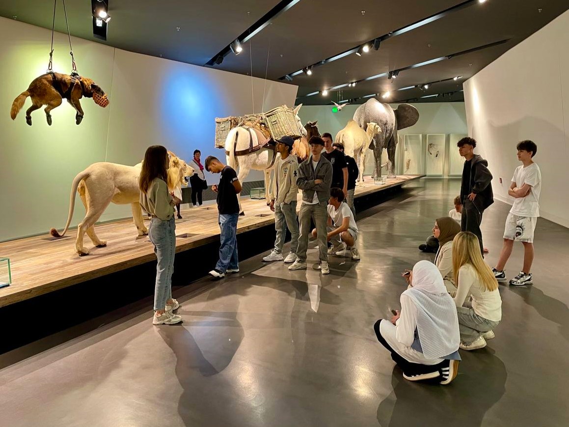 Besuch des militärhistorischen Museums Dresden